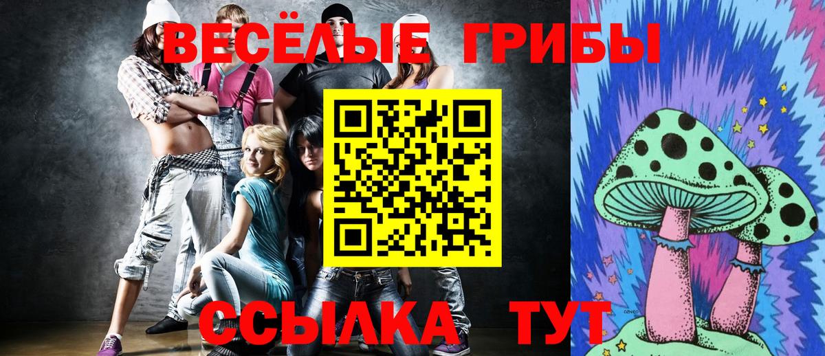 Псилоцибиновые грибы Psilocybe Бутурлиновка