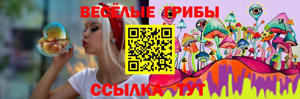 Бутурлиновка  Псилоцибиновые грибы Psilocybe  Галлюциногенные грибы Psilocybine cubensis  Вход с VPN 